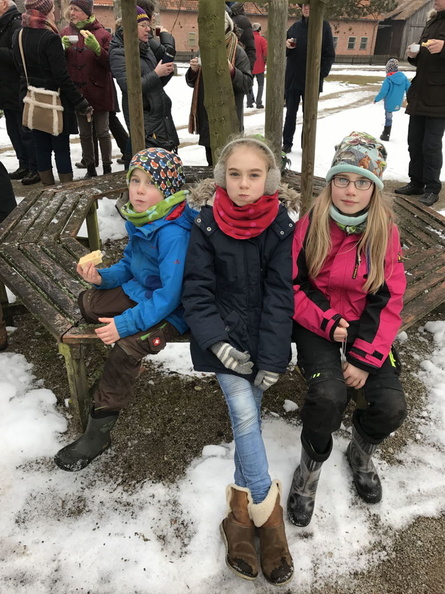 2017 01 22 Gru  nkohlwanderung zur Martinskirche Beedenbostel und dann zum Heidehof Bilder von Ralf 052